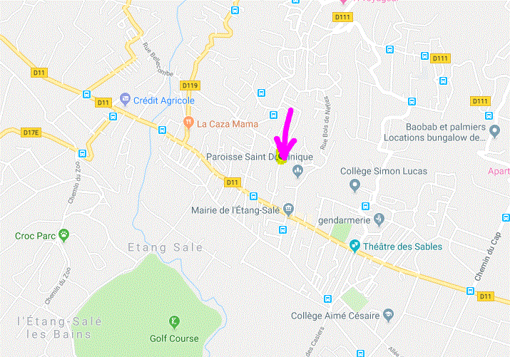 Google map